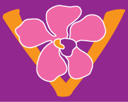 Vanda Stitch Services